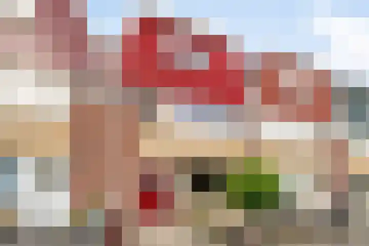 Dokter De Ramlaan 14 Bergen op Zoom thumbnail 6