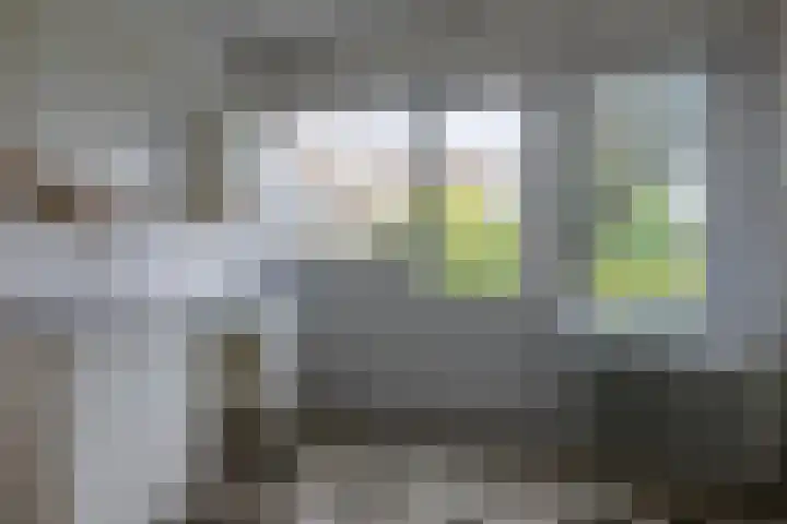 Dokter De Ramlaan 26 Bergen op Zoom thumbnail 7
