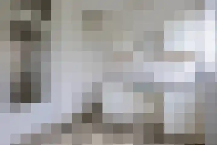 Dokter De Ramlaan 26 Bergen op Zoom thumbnail 8