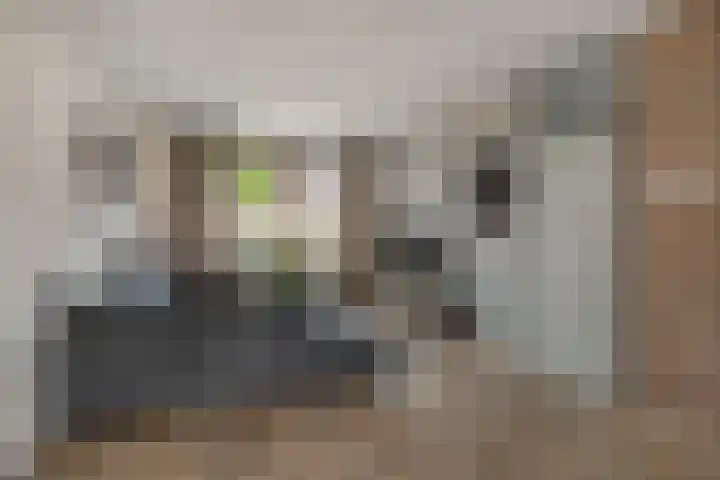 Dokter de Ridderhof 10 Hedel thumbnail 10