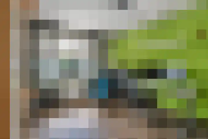 Dokter de Ridderhof 10 Hedel thumbnail 16