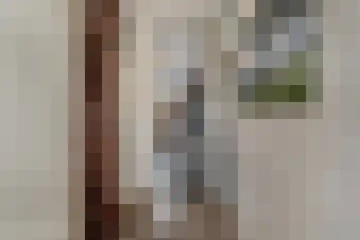 Dokter de Ridderhof 10 Hedel thumbnail 7
