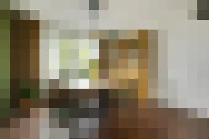 Dokter de Ridderhof 47 Hedel thumbnail 10