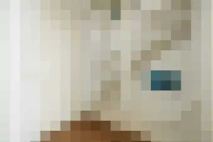 Dokter de Ridderhof 47 Hedel thumbnail 21
