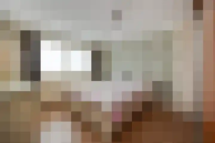 Dokter de Ridderhof 47 Hedel thumbnail 24