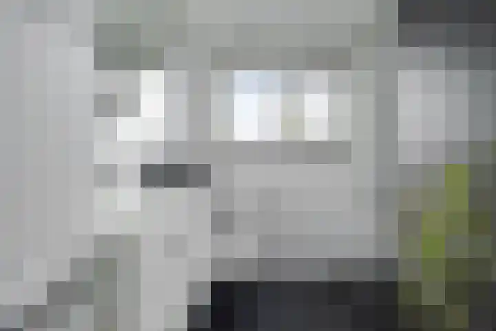 Dokter de Ridderhof 47 Hedel thumbnail 27