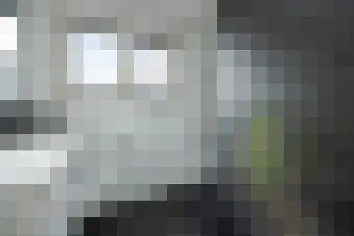Dokter de Ridderhof 47 Hedel thumbnail 28