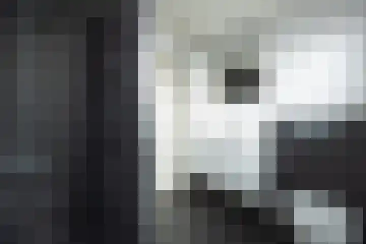 Dokter de Ridderhof 47 Hedel thumbnail 29