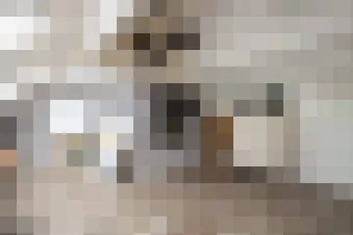 Dokter de Ridderhof 47 Hedel thumbnail 31