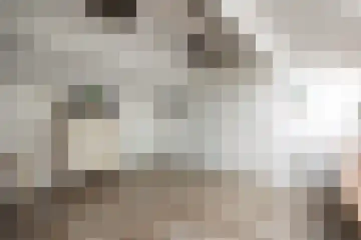 Dokter de Ridderhof 47 Hedel thumbnail 32