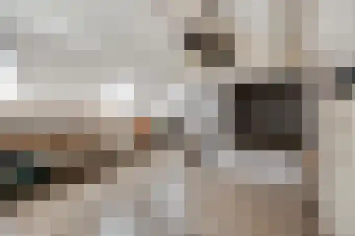 Dokter de Ridderhof 47 Hedel thumbnail 33