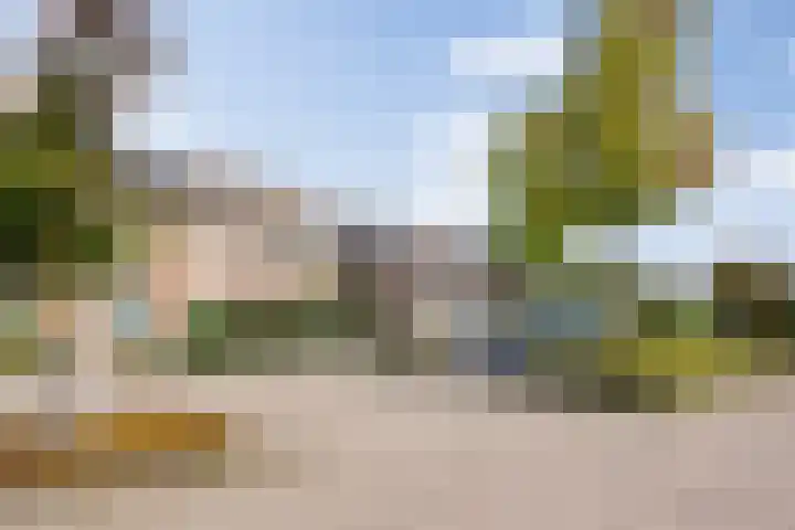 Dokter de Ridderhof 47 Hedel thumbnail 34