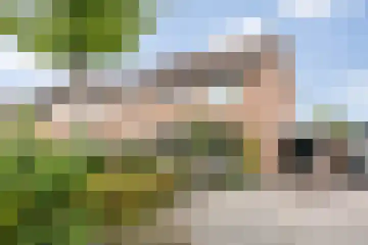 Dokter de Ridderhof 47 Hedel thumbnail 38