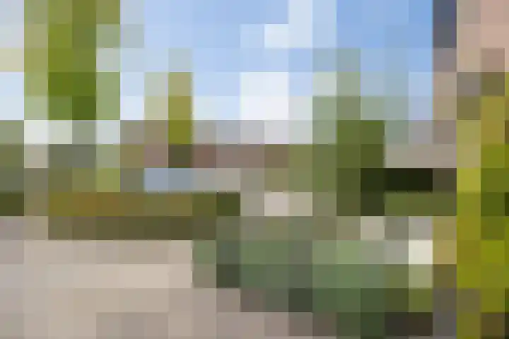 Dokter de Ridderhof 47 Hedel thumbnail 39