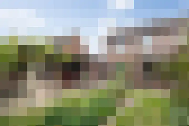 Dokter de Ridderhof 47 Hedel thumbnail 4