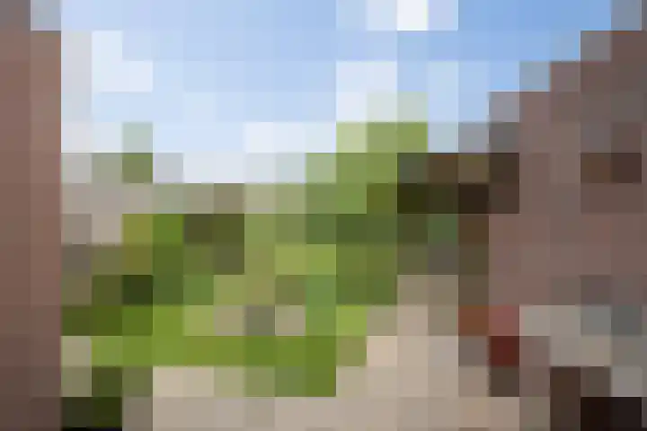 Dokter de Ridderhof 47 Hedel thumbnail 41