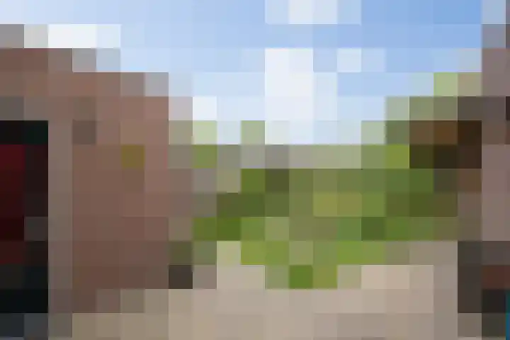 Dokter de Ridderhof 47 Hedel thumbnail 42