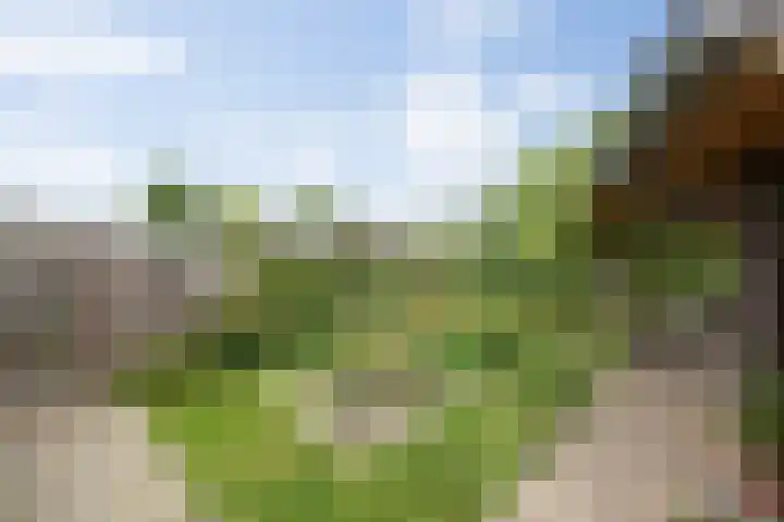 Dokter de Ridderhof 47 Hedel thumbnail 43