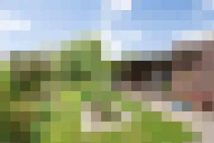 Dokter de Ridderhof 47 Hedel thumbnail 44