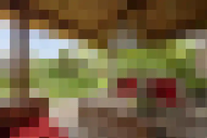 Dokter de Ridderhof 47 Hedel thumbnail 46