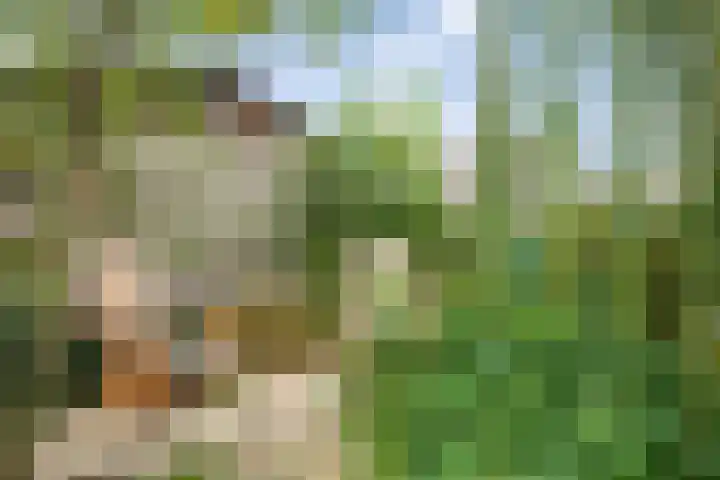 Dokter de Ridderhof 47 Hedel thumbnail 47