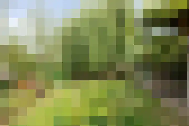 Dokter de Ridderhof 47 Hedel thumbnail 48