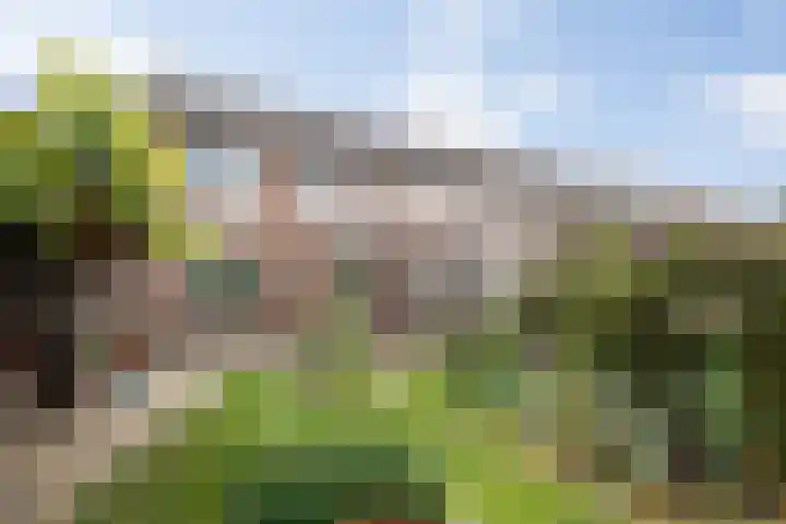 Dokter de Ridderhof 47 Hedel thumbnail 49