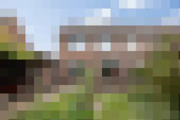 Dokter de Ridderhof 47 Hedel thumbnail 50