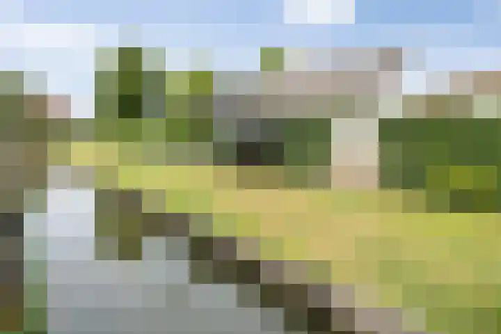 Dokter de Ridderhof 47 Hedel thumbnail 53