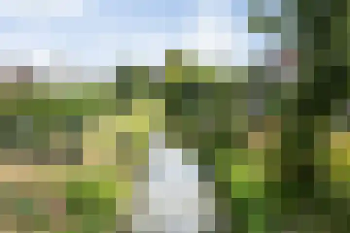 Dokter de Ridderhof 47 Hedel thumbnail 54
