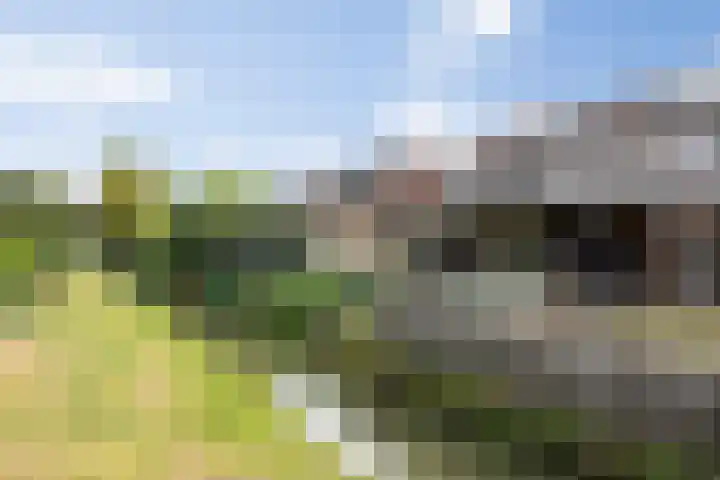 Dokter de Ridderhof 47 Hedel thumbnail 55