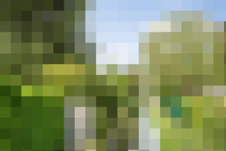 Dokter de Ridderhof 47 Hedel thumbnail 56