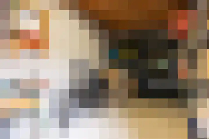 Dokter de Ridderhof 47 Hedel thumbnail 57