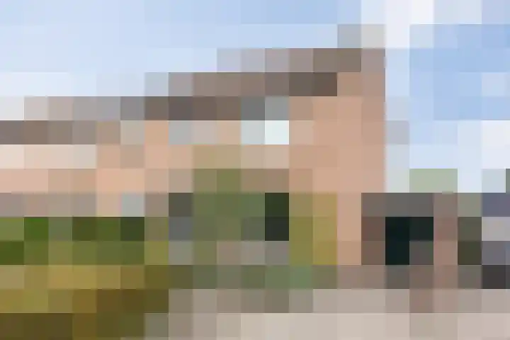 Dokter de Ridderhof 47 Hedel thumbnail 65
