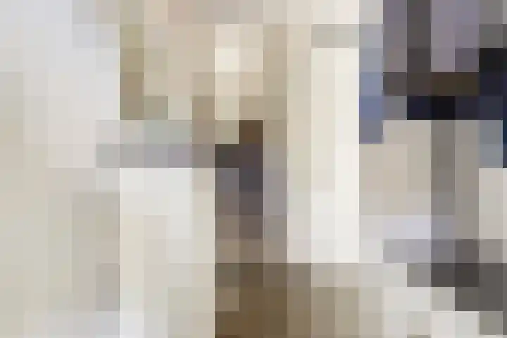 Dokter De Vliegerstraat 26 Heinenoord thumbnail 10
