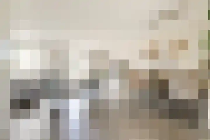 Dokter De Vliegerstraat 26 Heinenoord thumbnail 12