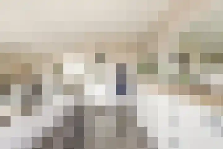 Dokter De Vliegerstraat 26 Heinenoord thumbnail 17