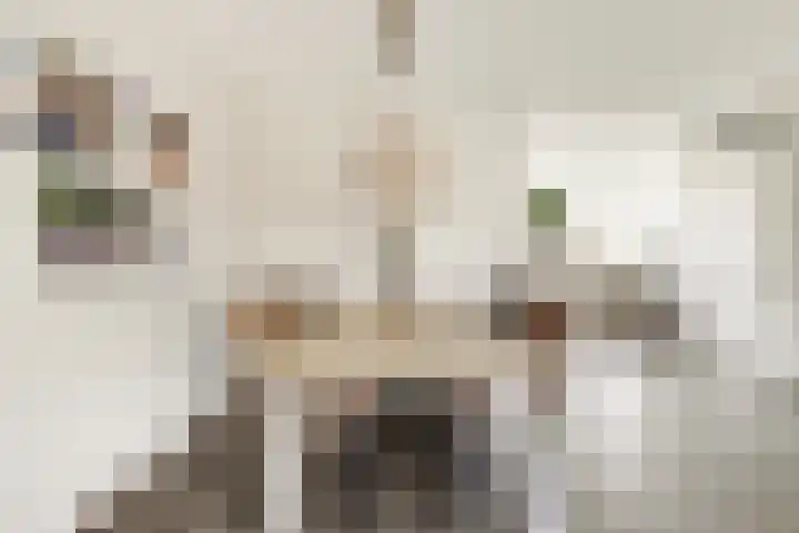 Dokter De Vliegerstraat 26 Heinenoord thumbnail 18