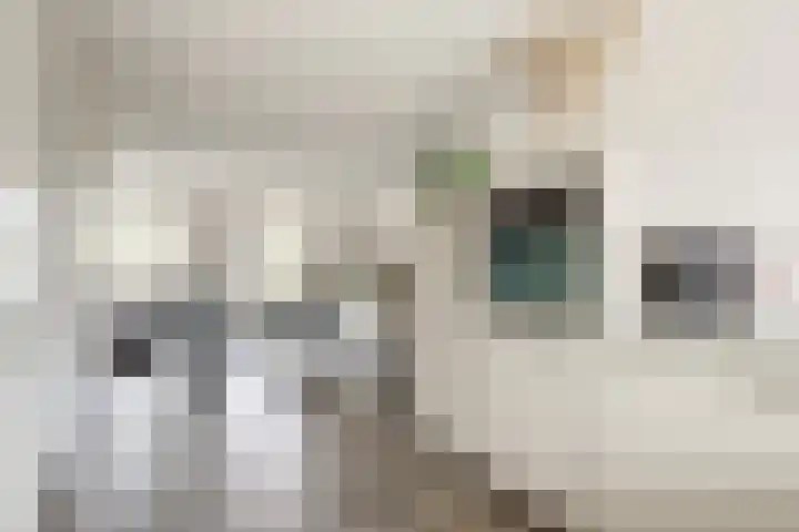 Dokter De Vliegerstraat 26 Heinenoord thumbnail 22