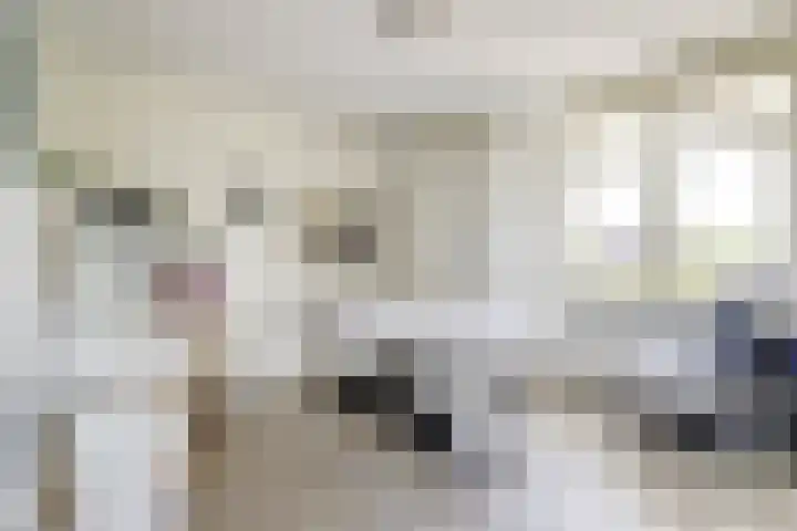 Dokter De Vliegerstraat 26 Heinenoord thumbnail 29