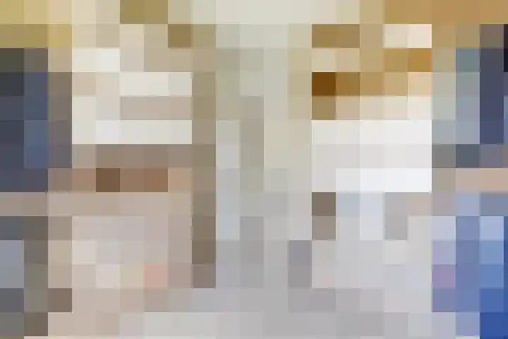 Dokter De Vliegerstraat 26 Heinenoord thumbnail 32