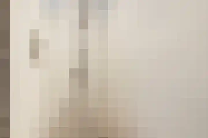 Dokter De Vliegerstraat 26 Heinenoord thumbnail 35