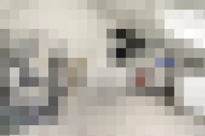 Dokter De Vliegerstraat 26 Heinenoord thumbnail 36