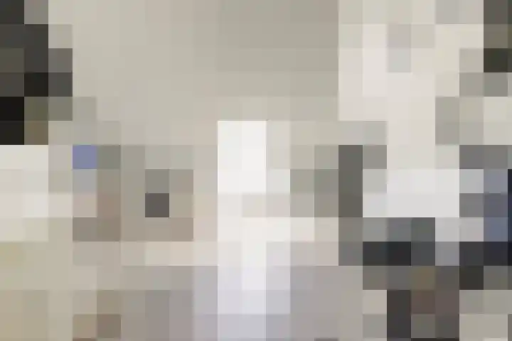 Dokter De Vliegerstraat 26 Heinenoord thumbnail 37