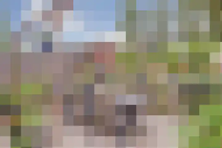 Dokter De Vliegerstraat 26 Heinenoord thumbnail 39
