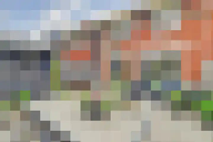 Dokter De Vliegerstraat 26 Heinenoord thumbnail 41