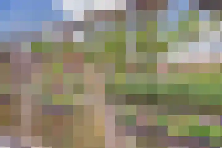 Dokter De Vliegerstraat 26 Heinenoord thumbnail 44
