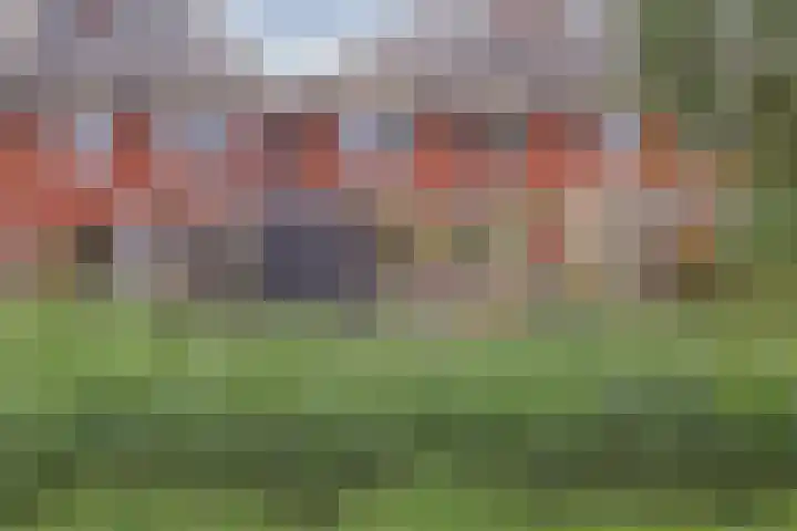 Dokter De Vliegerstraat 26 Heinenoord thumbnail 45