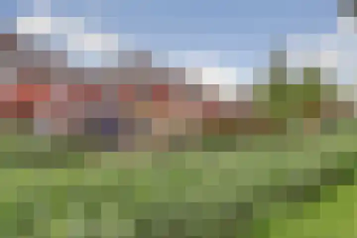 Dokter De Vliegerstraat 26 Heinenoord thumbnail 46
