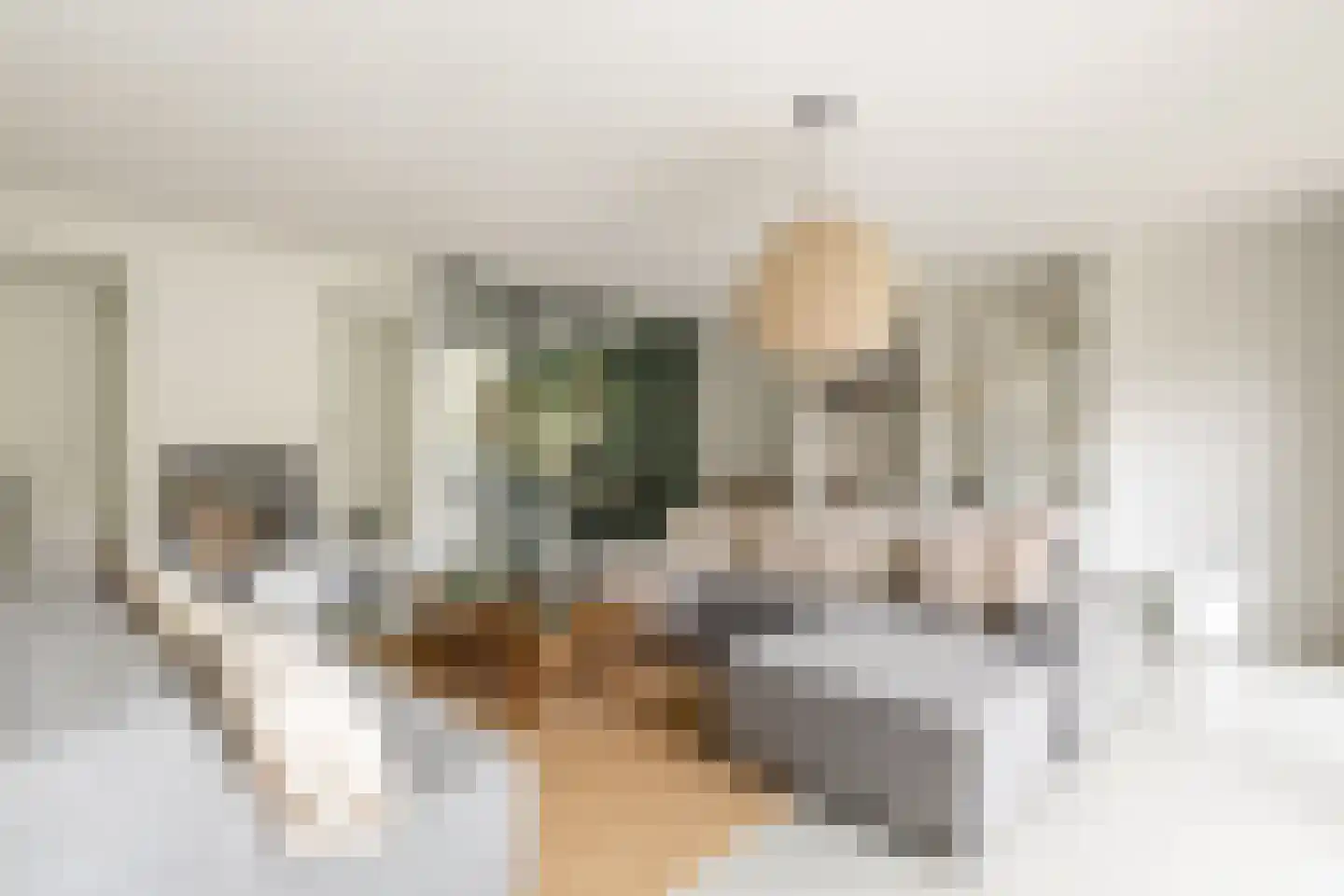 Dokter De Vliegerstraat 3 Heinenoord thumbnail 20